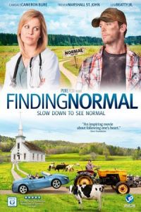 Finding Normal (2013)