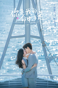 You Are My Destiny (Ni shi wo de ming zhong zhu ding) (2020)